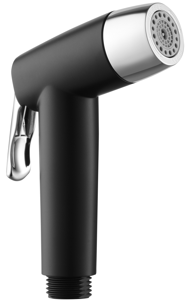 Showy Dual Function Switchable Bidet