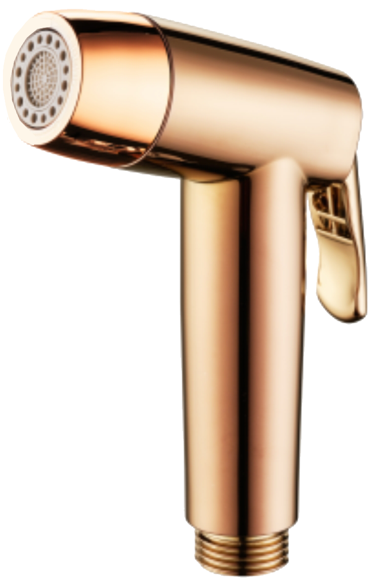 Showy Dual Function Switchable Hand Bidet (Rose Gold) 3207-500