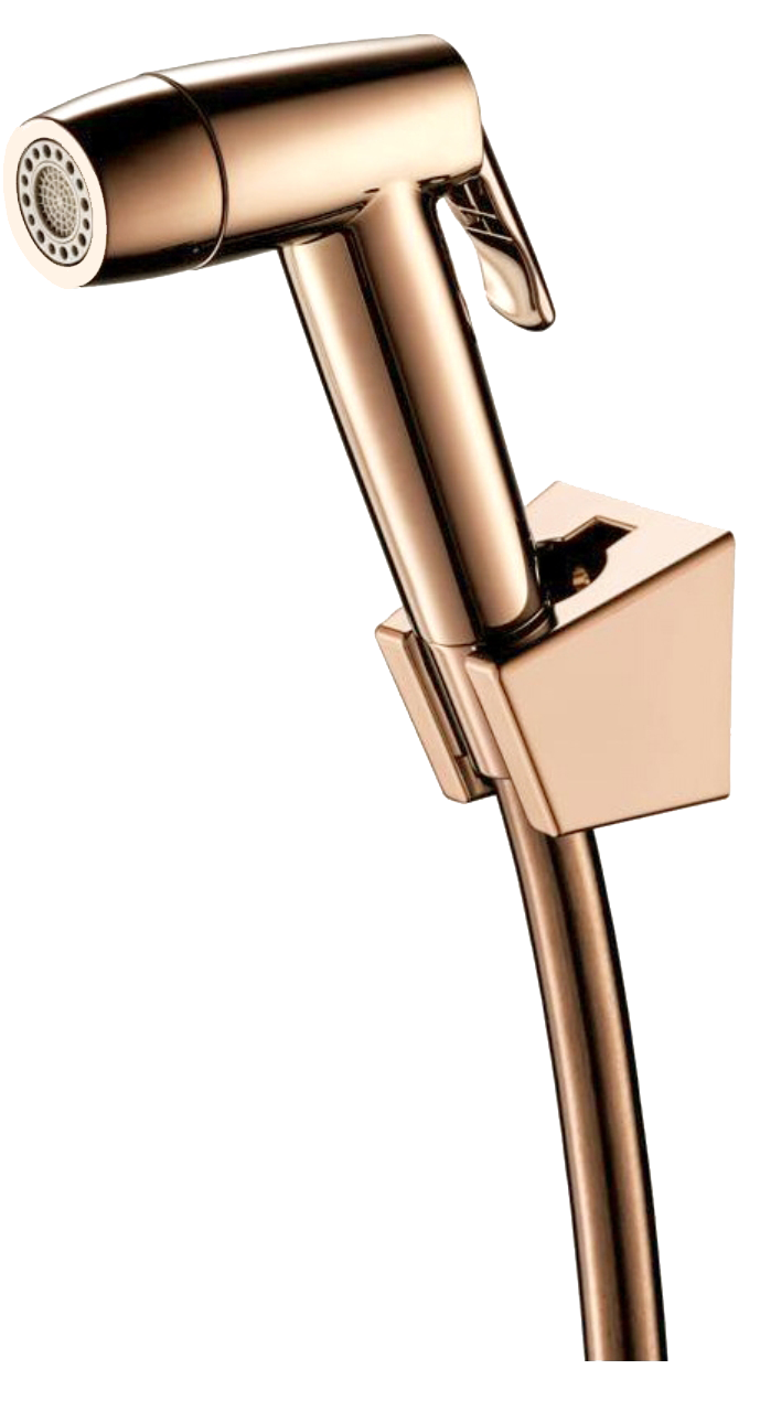 Showy Dual Function Switchable Bidet Set (Rose Gold) 3208
