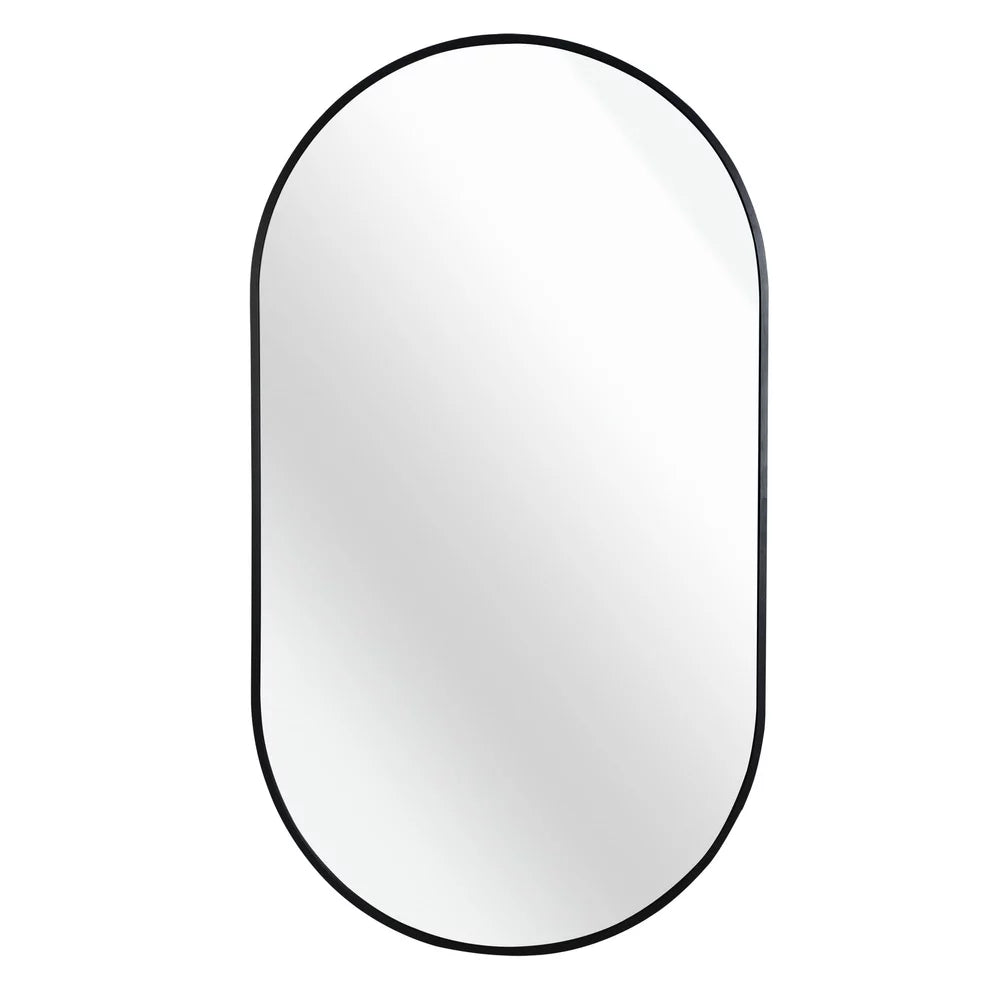 ADL Toilet Mirror