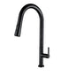 Tuscani Cold Kitchen Tap Pull Out NEA
