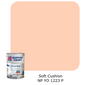 Nippon Paint Odour-Less All-in-1 (Pink and Red)