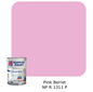 Nippon Paint Odour-Less All-in-1 (Pink and Red)