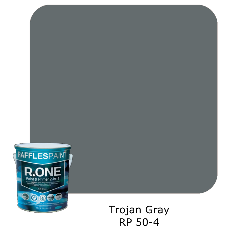 Raffles Paint R.One (Gray)