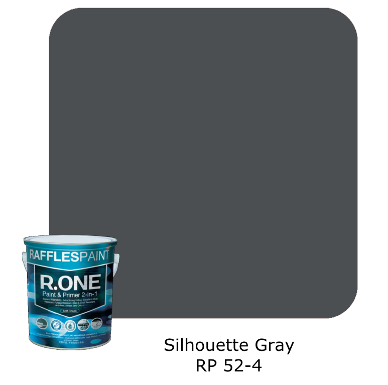 Raffles Paint R.One (Gray)