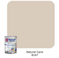 Nippon Paint Odour-Less All-in-1 (Brown A)