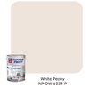 Nippon Paint Odour-Less All-in-1 (Brown B)