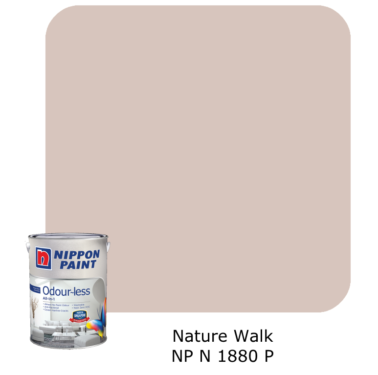 Nippon Paint Odour-Less All-in-1 (Brown B)