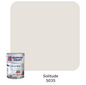 Nippon Paint Odour-Less All-in-1 (Gray)