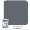 Nippon Paint Odour-Less All-in-1 (Gray)