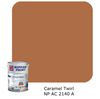 Nippon Paint Odour-Less All-in-1 (Accent)