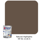 Nippon Paint Odour-Less All-in-1 (Accent)