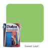 Dulux Gloss Finish (All Popular Colours)
