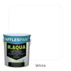 Raffles Paint R.AQUA: Water Based Enamel Paint &amp; Primer 2-in-1 (All Popular Colours)