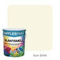 Raffles Paint  R.ANTISMELL (5L + 20L, All Popular Colours)