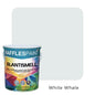 Raffles Paint  R.ANTISMELL (5L + 20L, All Popular Colours)