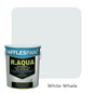 Raffles Paint R.AQUA: Water Based Enamel Paint & Primer 2-in-1 (All Popular Colours)