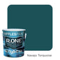 Raffles Paint R.ONE (All Popular Colours)