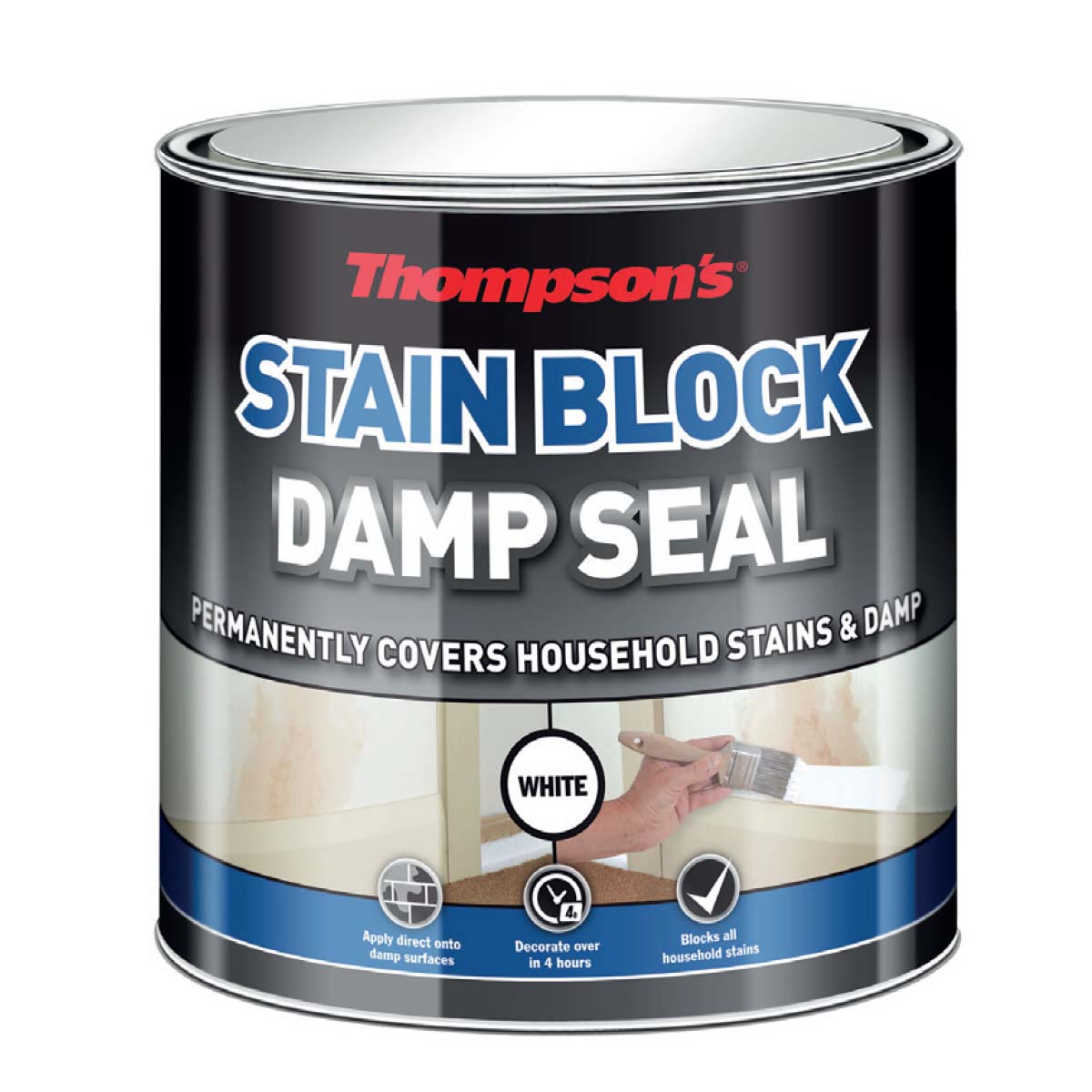 Thompson's Damp Seal White 250ml (30853)