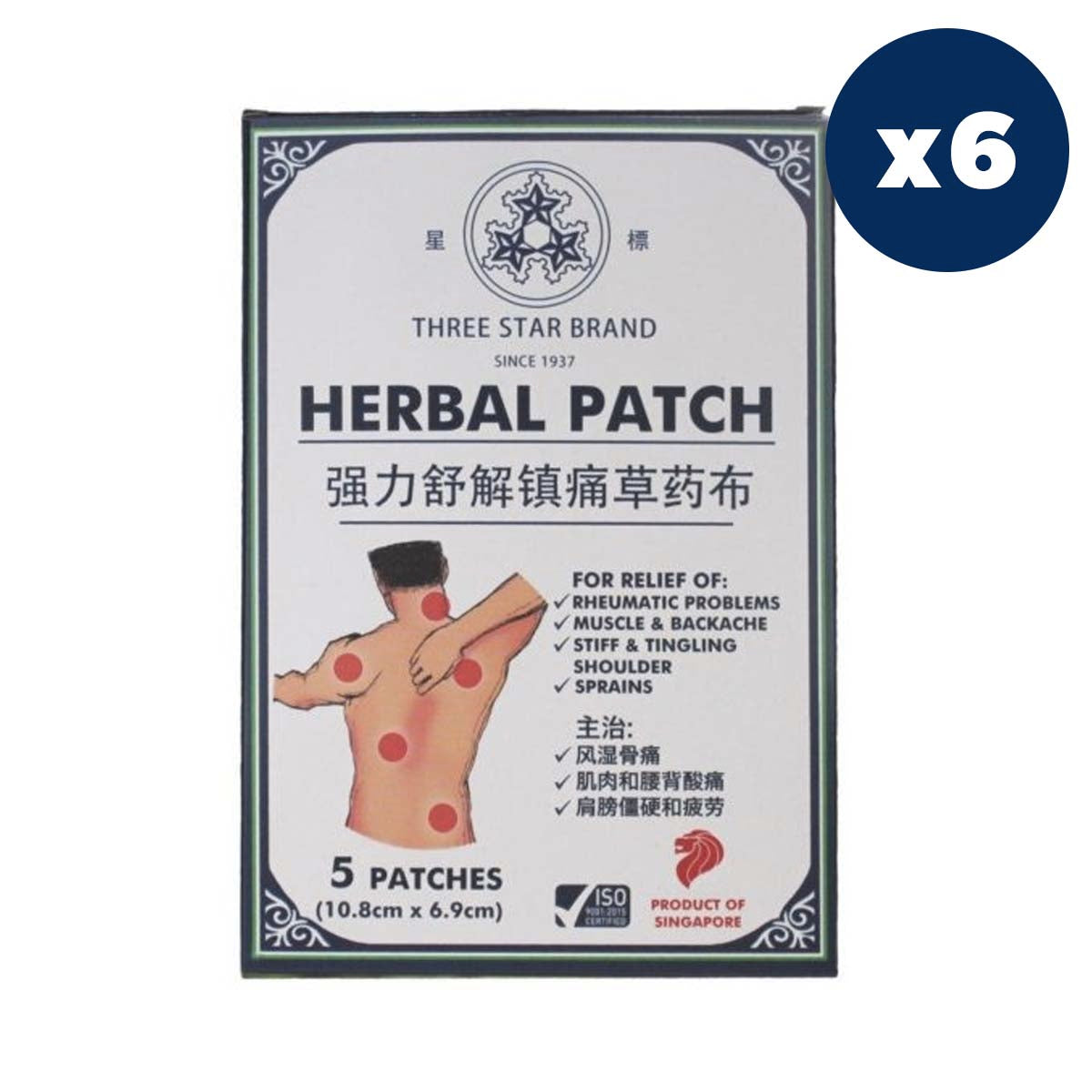 TSB Herbal Medicated Patch (5 patches) x 6