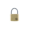 Yale Classic Series Outdoor Solid Brass Padlock (Y110)